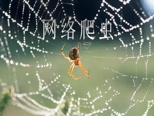 网络爬虫de基础知识