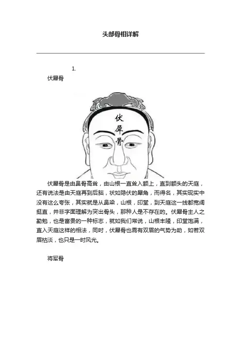 头部骨相详解