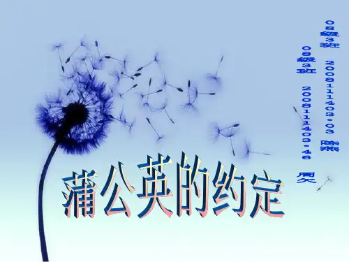 蒲公英