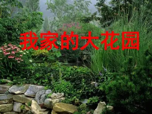 2 我家的大花园