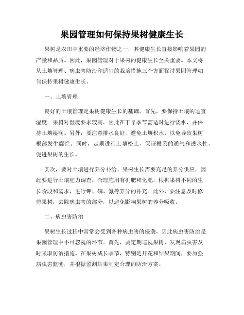 果园管理如何保持果树健康生长