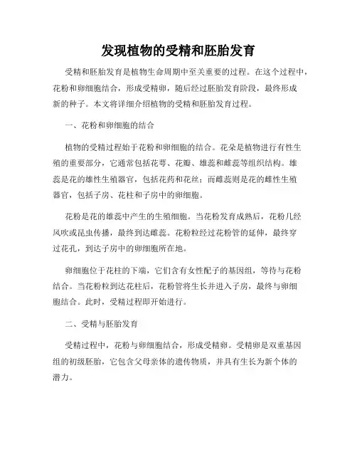 发现植物的受精和胚胎发育