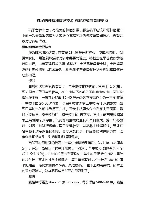 桃子的种植和管理技术_桃的种植与管理要点