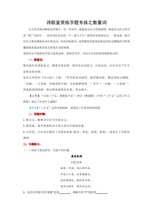 诗歌鉴赏炼字题专练之数量词-高考语文二轮复习