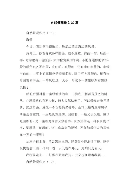 自然景观作文20篇