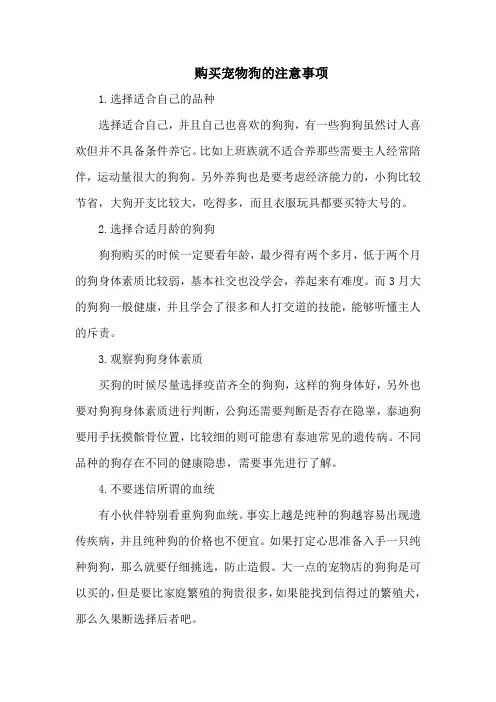 购买宠物狗的注意事项