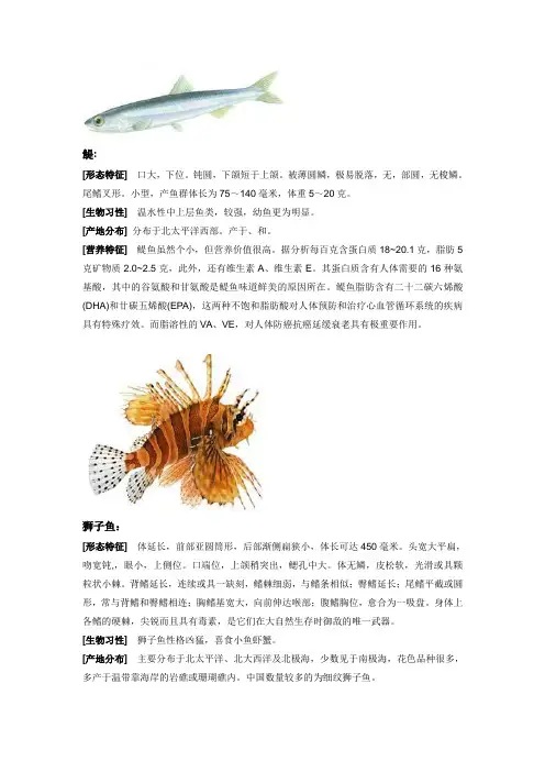 各种海鲜鱼类的介绍