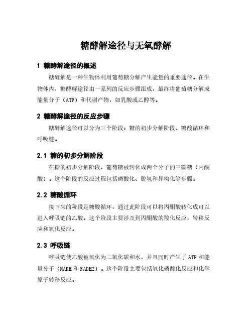 糖酵解途径与无氧酵解