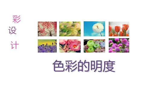 五年级美术上册(色彩的明度)教育课件