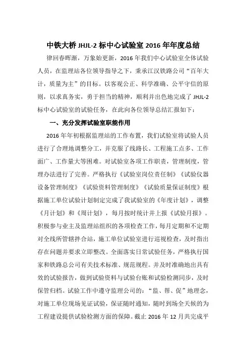 中心试验室2016年年度总结1-17