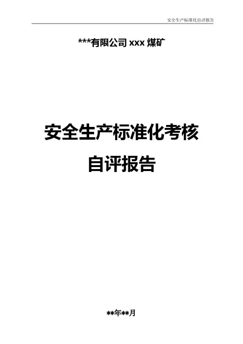 煤矿安全生产标准化自评报告范本