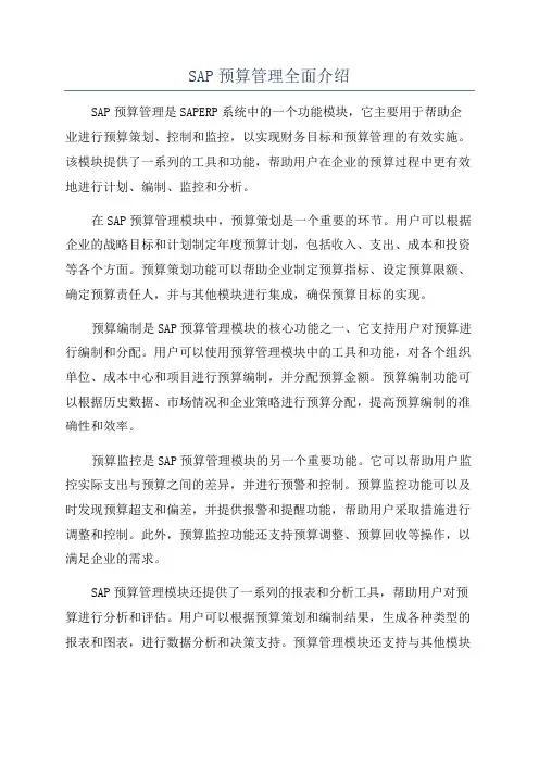 SAP预算管理全面介绍
