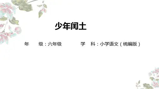少年闰土ppt课件