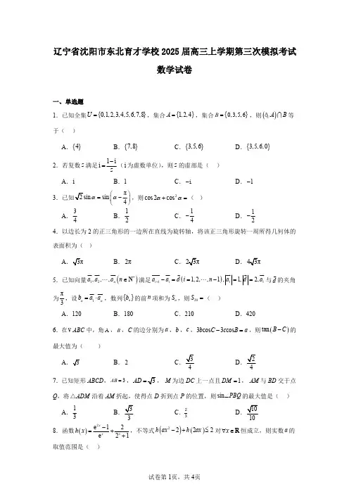 辽宁省沈阳市东北育才学校2025届高三上学期第三次模拟考试数学试卷