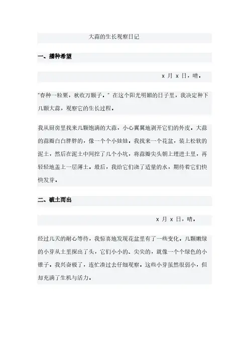 大蒜的生长观察日记