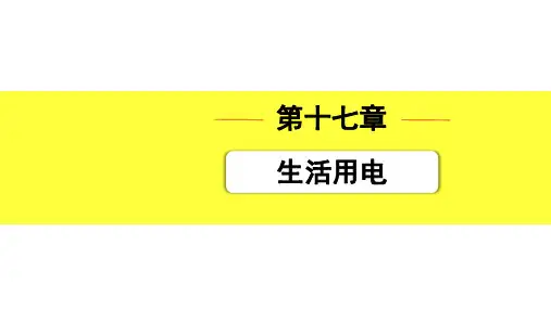 中考物理复习 第十七章  生活用电