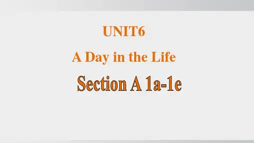 U6 A Day in the Life   Section A 1a-1e人教版2024七年级上册