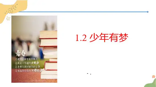 《少年有梦》PPT优质教学课件