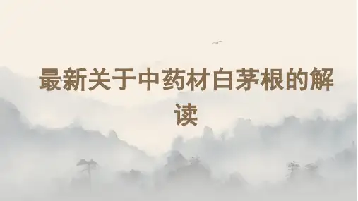 最新关于中药材白茅根的解读