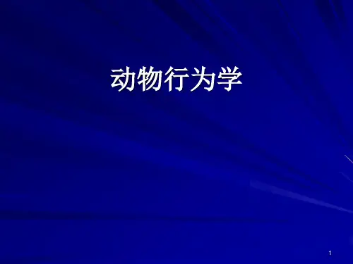 动物行为学ppt课件