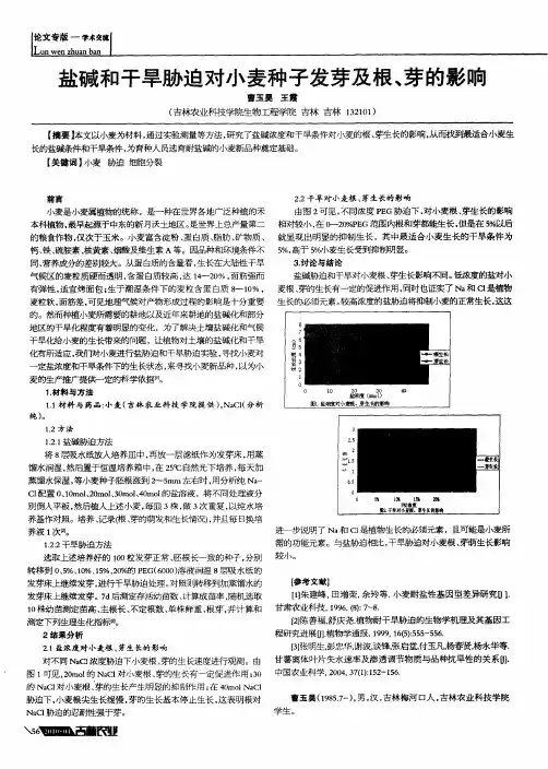 盐碱和干旱胁迫对小麦种子发芽及根、芽的影响