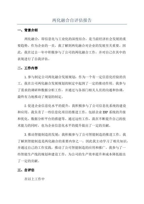 两化融合自评估报告