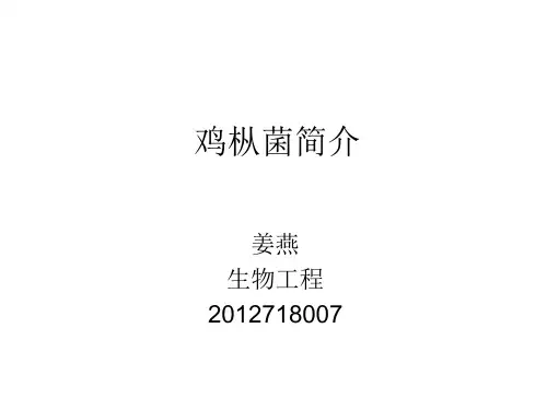 鸡枞菌简介和鸡枞菌镇痛抗炎SCI英文ppt