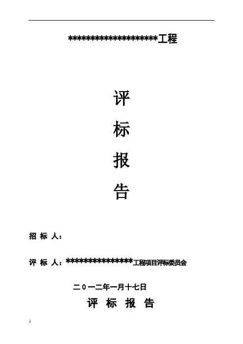 评标报告范本