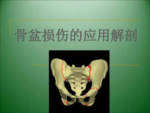3.骨盆解剖-wlf