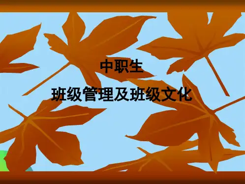 中职生班级管理及班级文化ppt(共31张PPT)