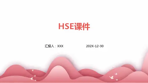 hse课件 ppt