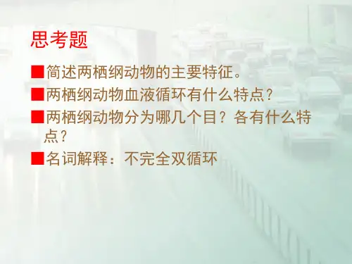 第六讲 两栖纲