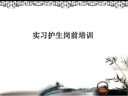 实习护生岗前培训ppt课件