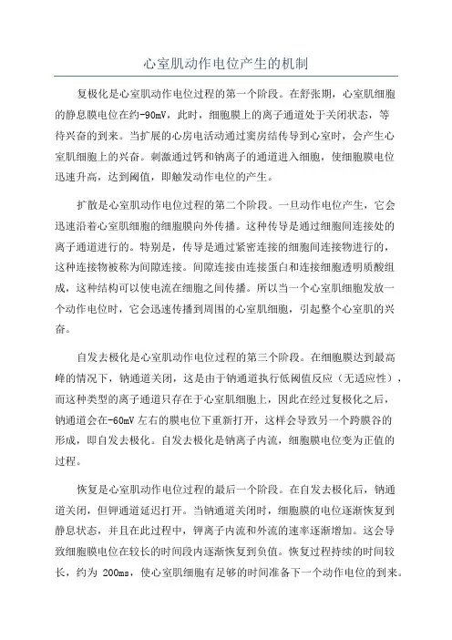 心室肌动作电位产生的机制