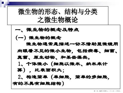微生物的概念及特点