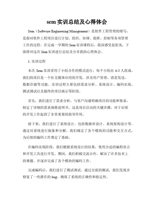 sem实训总结及心得体会