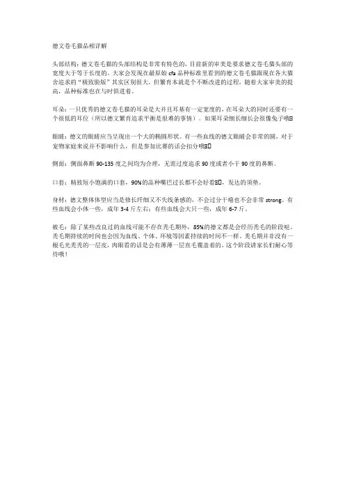 德文卷毛猫品相详解