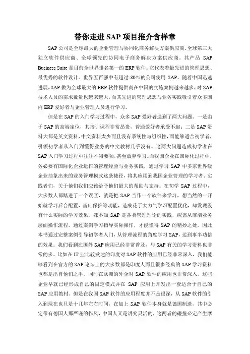 带你走进SAP项目推介含样章