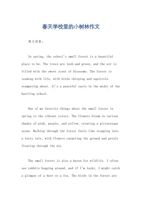 春天学校里的小树林作文
