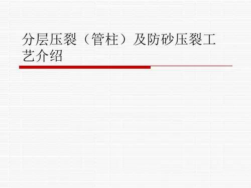 纤维压裂及防砂技术交流精品PPT课件