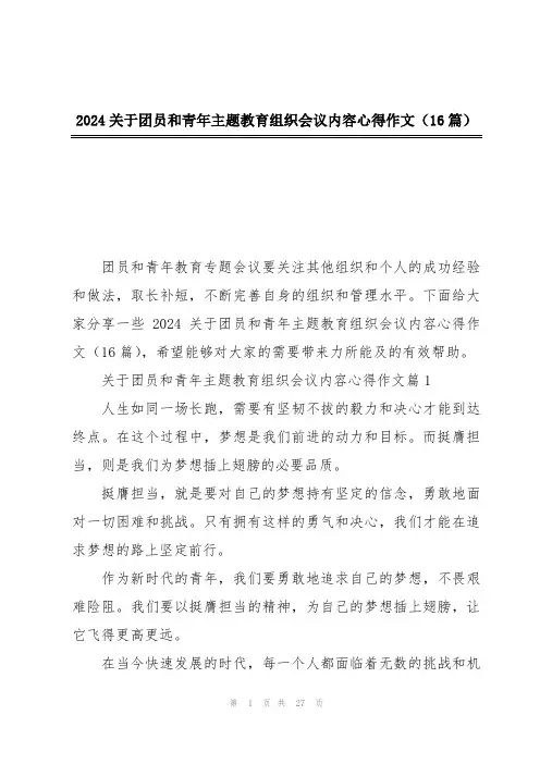 2024关于团员和青年主题教育组织会议内容心得作文(16篇)