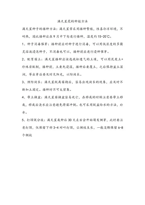 满天星花的种植方法