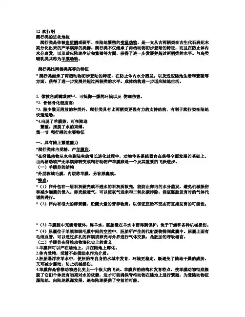 12 爬行纲