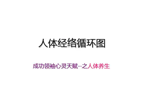 人经络循环图