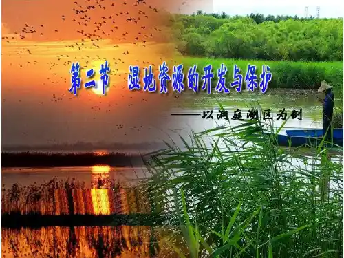 湿地资源的开发与保护PPT课件