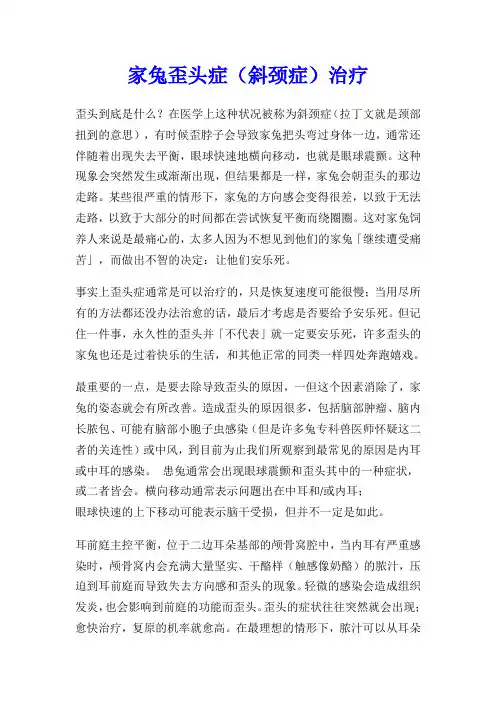 家兔歪头症(斜颈症)治疗