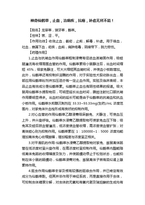 神奇仙鹤草，止血，治痢疾，抗癌，补虚无所不能！