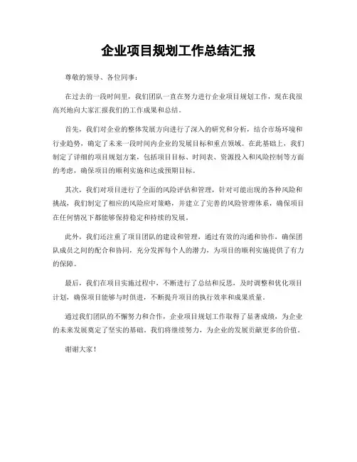 企业项目规划工作总结汇报