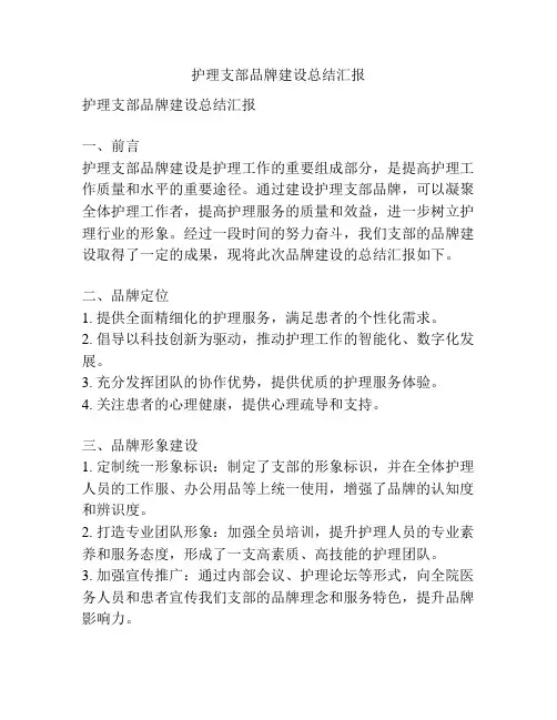 护理支部品牌建设总结汇报