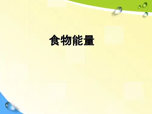 《食物能量》PPT课件